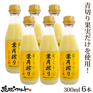 ؂ RV[N[T[ t 300ml×6{Zbg  Y V[N[T[ V[N[T[ ʏ`100% t Xg[g RV[N[T[  ꌧY R ΂ mr`