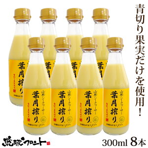 ؂ RV[N[T[ t 300ml×8{Zbg  Y V[N[T[ V[N[T[ ʏ`100% t Xg[g RV[N[T[  ꌧY R ΂ mr`