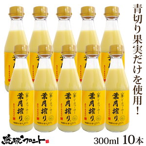 ؂ RV[N[T[ t 300ml×10{Zbg  Y V[N[T[ V[N[T[ ʏ`100% t Xg[g RV[N[T[  ꌧY R ΂ mr`
