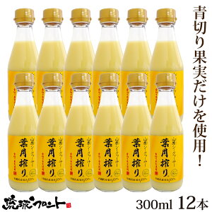 9/19ijח\聚 ؂ RV[N[T[ t 300ml×12{Zbg  Y V[N[T[ V[N[T[ ʏ`100% t Xg[g RV[N[T[  ꌧY