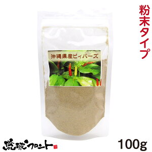 ꌧY 傤 ^Cv sBp[Y i܁j 100g [  Ɩp  qnc Ӟ qo[` Oybp[ CYH