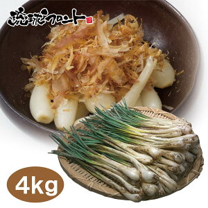 �����������ɏo�ג��� ���ꌧ�Y ��������傤 4kg �i500g×8���j �������� ���� �����b�L���E ������傤 ���܂� ����� �G�ߌ��� ���� ���Ԍ���
