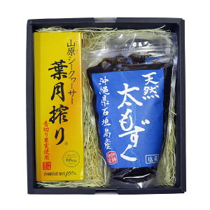 Mtg RV[N[T[t300ml&Ί_YVRij500g×2 MtgZbg      蕨 j j