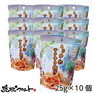 Ƃ肩TNTNg ̉ 25g×10Zbg   yY { g َq ܂ C C  tg Ƃ肩