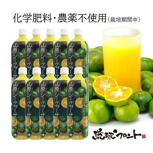 _sgp RV[N[T[ PET 1L Y V[N[T[ V[N[T[ ʏ`100% t Xg[g RV[N[T[  ꌧY R ΂ mr` tg ybg{