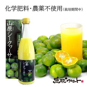 _sgp RV[N[T[ 720ml Y V[N[T[ V[N[T[ ʏ`100% t Xg[g RV[N[T[  ꌧY R ΂ mr` tg