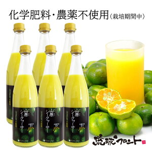 _sgp RV[N[T[ 720ml×6{Zbg  Y V[N[T[ V[N[T[ ʏ`100% t Xg[g RV[N[T[  ꌧY R ΂ mr` 