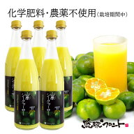 【当店売上1位】 農薬不使用 山原シークワーサー 720ml×5本セット 送料無料 沖縄産 シークワーサー シー…