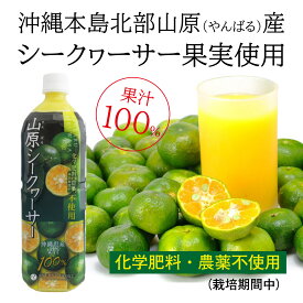 農薬不使用 山原シークワーサー PET 1L 沖縄産 シークワーサー シークヮーサー 果汁100% 原液 ストレート 山原シークヮーサー 沖縄 沖縄県産 山原 やんばる ノビレチン 琉球フロント ペットボトル 1リットル