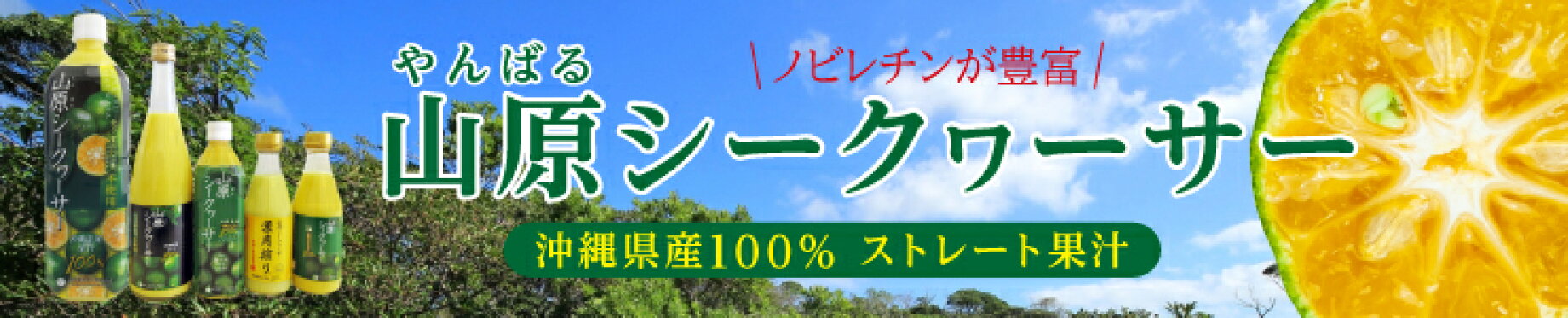 山原シークワーサー