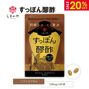 _X[p[SALEE20%OFF^ ۂ 530mg×60 1 ۂ ݐ| lQ N e  Tv ܂̂