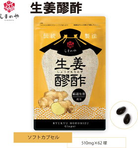 傤А| 510mg×62 1 I ݐ| NG_ A~m_ N Tvg ܂̂