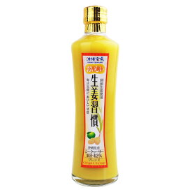 おいしい生姜習慣300ml　しょうが紅茶　しょうが湯　生姜　しょうがサプリ　しょうが紅茶ティーバッグ　ジンジャーシロップ　飲料　ドリンク　希釈タイプ　割って　冷やしても美味しい　4582112265844