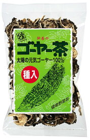 仲善　ゴーヤー茶 40g×6個　沖縄県産ゴーヤー100％　種入り　健康を気にする方　4980479015032