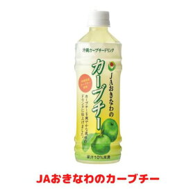 JAおきなわのカーブチー 500ml ペットボトル24本入り　沖縄みかん　ジュース　1ケース　冷やしても美味しい