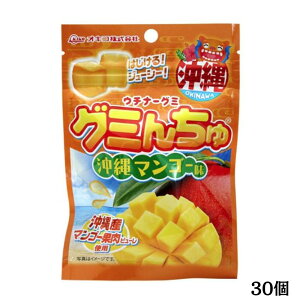 ILR@O~񂿂@}S[@40g@nO~@t[cO~@@eʁ@ꂨyY@yY@ij