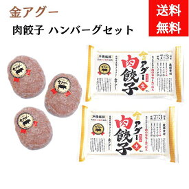 金アグー　肉餃子2パック　ハンバーグ3個セット　あぐー豚肉　夏ギフト　冬ギフト【送料無料】