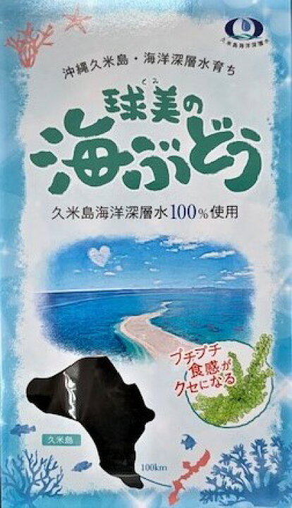 楽天市場 球美の海ぶどう塩水付50g 海ブドウ 海藻 沖縄県産 沖縄産 沖縄土産 沖縄お土産 土産の通販 沖縄宝島