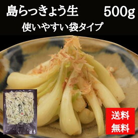 でいごフーズ　業務用　島らっきょう　500g　大容量　冷蔵　生らっきょう　下処理　手間いらず　皮むき　おつまみ　沖縄　沖縄産　沖縄県産　（送料無料）4571156930801