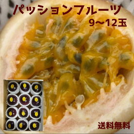 沖縄県産パッションフルーツ　紫玉　900g（9〜12個） 　国産　沖縄産　果物　フルーツ　ギフト　ご贈答　お取り寄せ（送料無料）