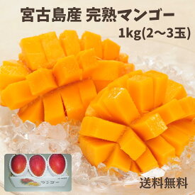 【早割　4月ご注文で5％OFF　予約販売】宮古島産完熟マンゴー1kg（2〜3玉）夏ギフト　お中元　贈答品　沖縄産　アーウィン　アップルマンゴー　秀品　沖縄 マンゴー（送料無料）