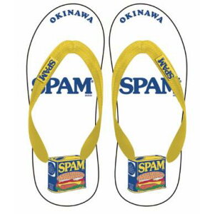 Xp@@ʁ@CG[@AJG݁@SPAM@yY@r[`T_@@4580657530793