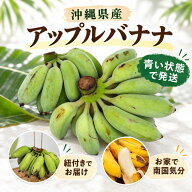 【人気急上昇】 癖になるもっちり食感 アップルバナナ 2kg 沖縄県産