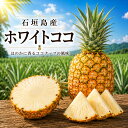 石垣島産　ホワイトココ 　1玉1.8キロ前後　白い果肉 希少品種 ココナッツのような香り