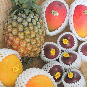 瓇 t[cZbg G߂ɂ肨C i1`5j@