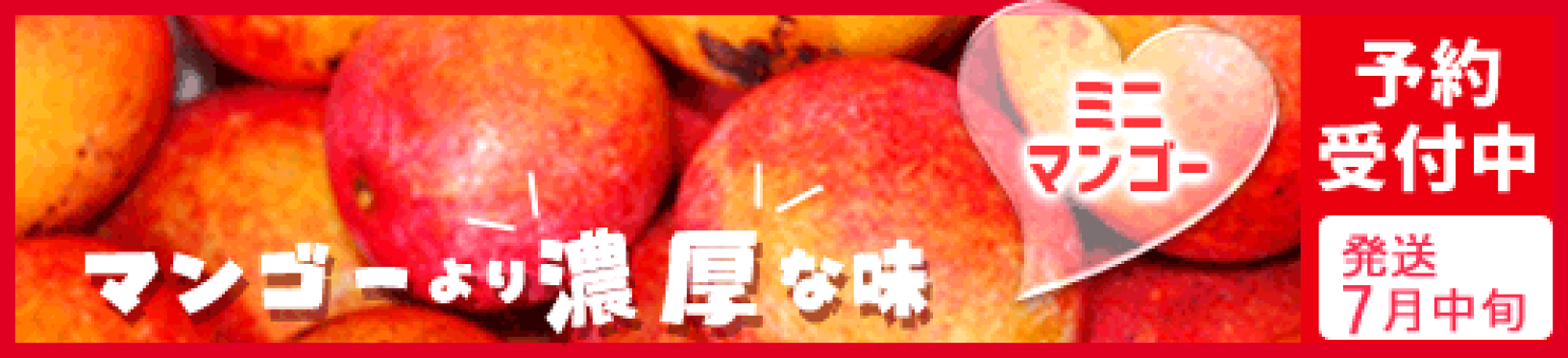 ミニマンゴー
