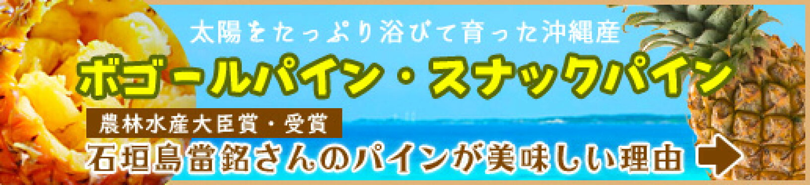 スナックパイン