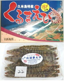 久米島の活〆急速冷凍車えび250g（12〜16尾） 送料無料 発（12/25〜1/5発送不可）久米島から直送のため、他の商品と同梱不可