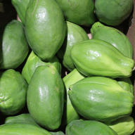 【分解酵素の王様】沖縄県産 青パパイヤ 約1kg