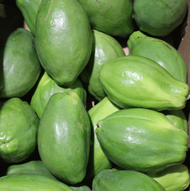青パパイヤ5kg 発送年中ですがお待たせする場合有 青パパイヤは栄養価が高く健康維持に大切な酵素を豊富に含んでいます。 パパイア 野菜 国産 国内産 沖縄県産 お取り寄せ セット 料理 惣菜 おかず サラダ 材料 パパイヤ酵素