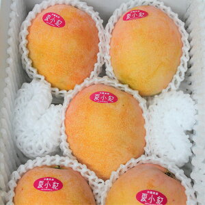 �}���S�[ �ď��g�@2kg�i4�`8�j���ꌧ�Y ����8�����{�`9����