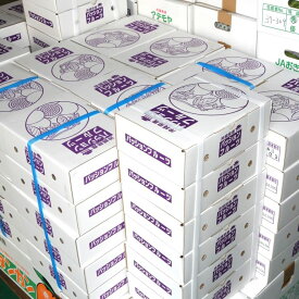 パッションフルーツ（優品） 3箱（1箱8〜12個入） 【発送12月〜7月】 沖縄県産 （スムージー ヨーグルト） 【沖縄産 パッションフルーツ クダモノトケイソウ 果物 お取り寄せ / βカロテン ビタミンC 葉酸 抗酸化作用 アンチエイジング】