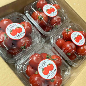 y_ѐYȎ܁z SUNg}g 150g×4P ~jg}g N{^t@[ 1PC 150g