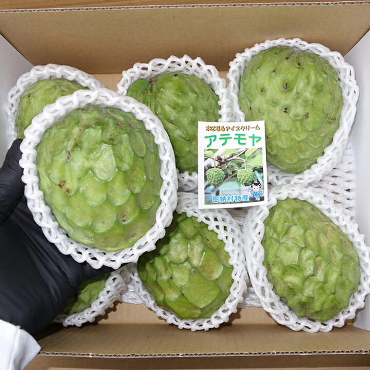 楽天市場】【送料無料】優品 アテモヤ 2kg （4～10玉） 発送12月中旬頃 