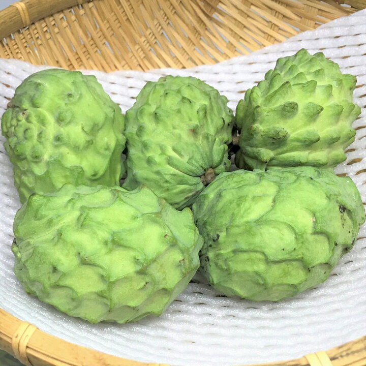楽天市場】アテモヤ 2kg 発送11月下旬〜3月 : 沖縄美味通販のたま青果