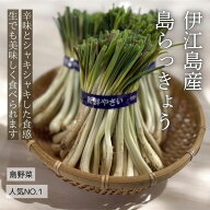 【送料無料】楽天ランキング1位獲得 破格！島らっきょう 2kg 伊江島産　大人気おつまみ リピーター続出の…