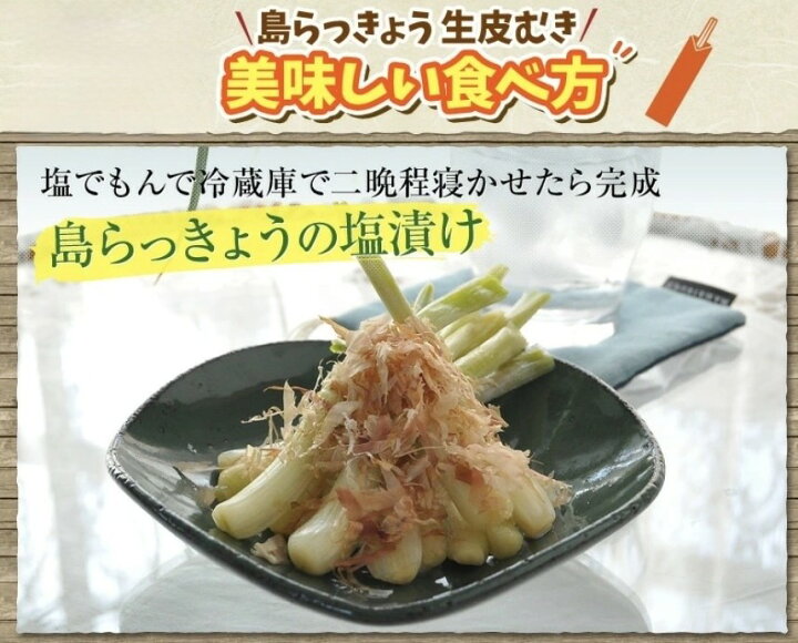 楽天市場】【送料無料】大人買い 伊江島産島らっきょう 5kg 業者様 