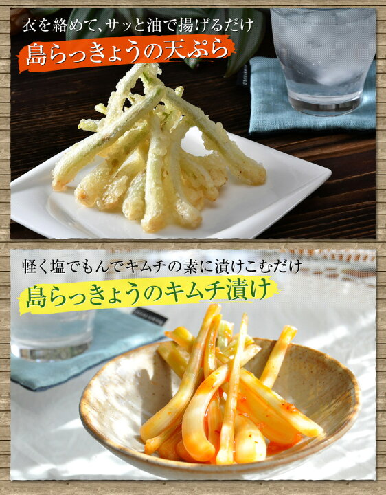 楽天市場】【送料無料】大人買い 伊江島産島らっきょう 5kg 業者様 