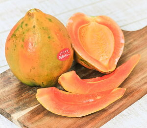 yze t[cppC 6kg ق̃fBJt[cEǏnŊÂȂ썑ʎ@i킨C