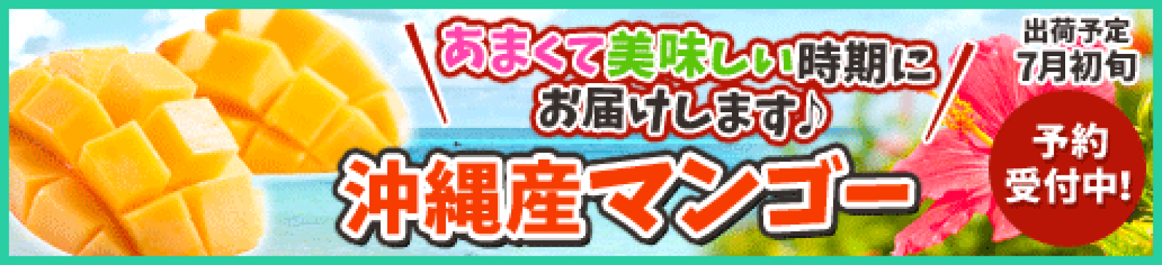 マンゴー