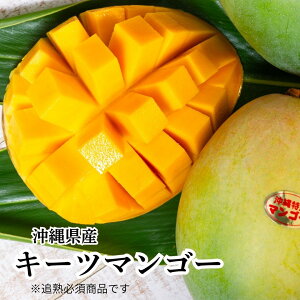 �y���������z�}���S�[ �L�[�c �G�i �����p ��2kg �i2�`3�ʓ��j�@���ϔ����聙 ����8�����{�`10����