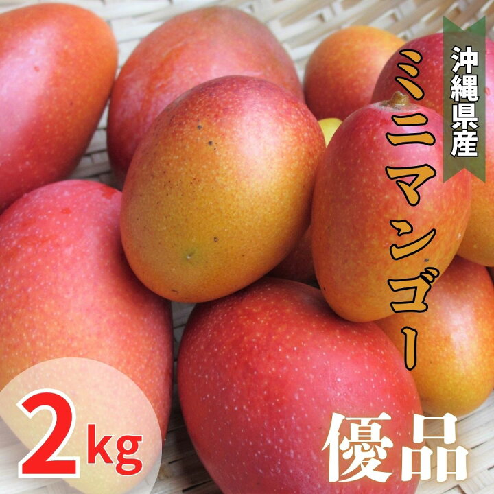 楽天市場】【予約商品・送料無料】ミニマンゴー 優品 約2キロ ☆ 発送 