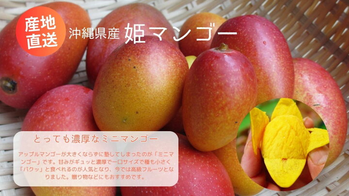 楽天市場】【予約商品・送料無料】ミニマンゴー 優品 約1キロ ☆ 発送 