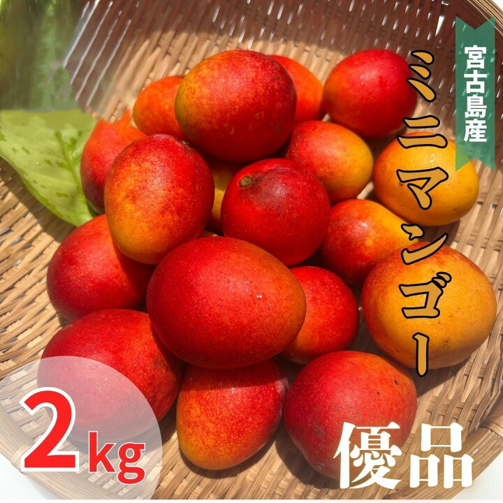 楽天市場】【予約商品・送料無料】宮古島産 ミニマンゴー 約2キロ 