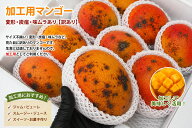 【送料無料】加工用マンゴー　4キロ　規格外品　大きさバラつき　炭疽　傷など