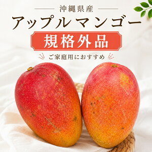 �ƒ�p�A�b�v���}���S�[ ��400g�`500�O�����i2�`3�ʁj